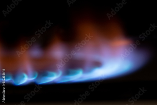 Gas burns in the dark close-up, gas stove
