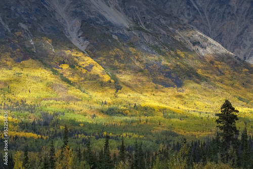 Canada  Yukon  view of the tundra in autumn  with mountains in background  beautiful landscape in a wild country 