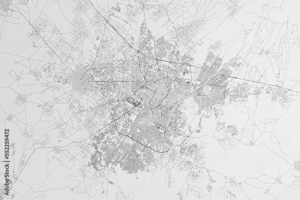 Map of the streets of Puebla City (Mexico) on white background. 3d render, illustration