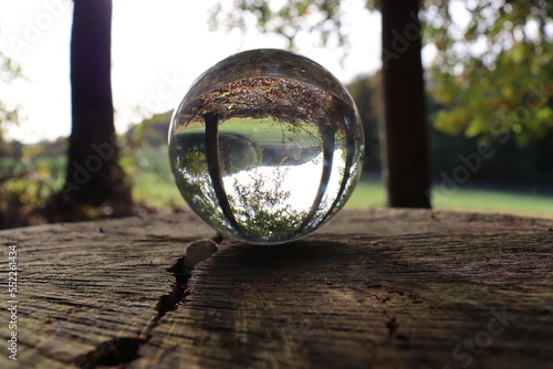 lens ball in the forest