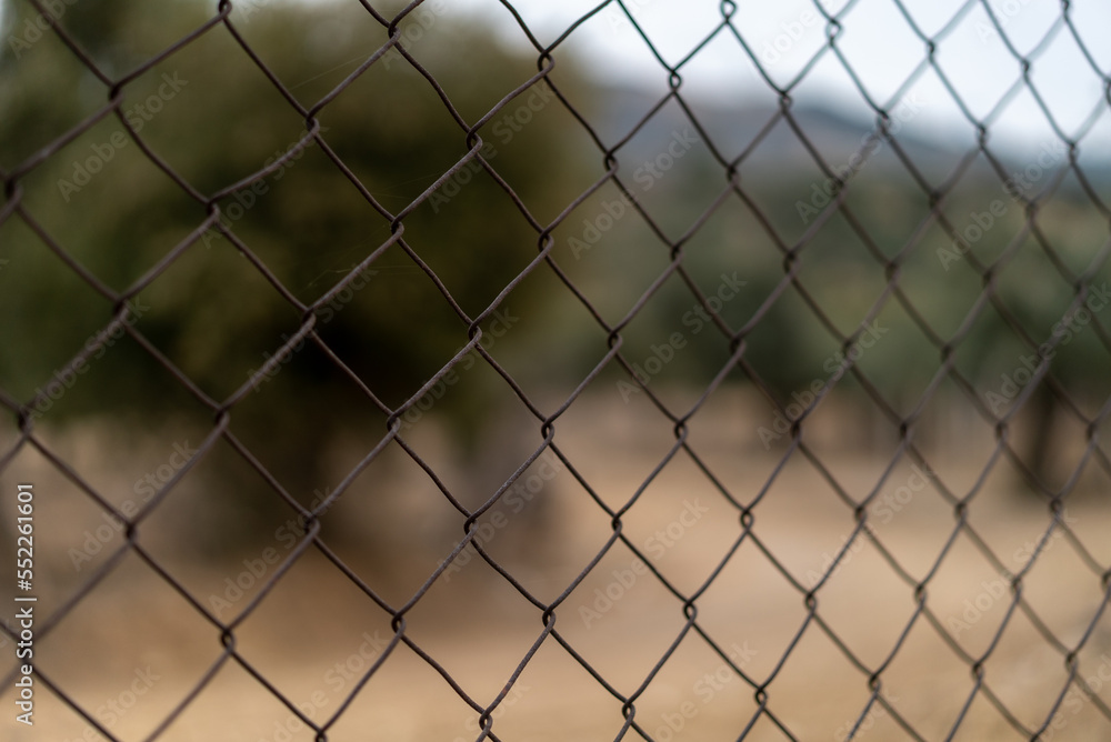 iron fence