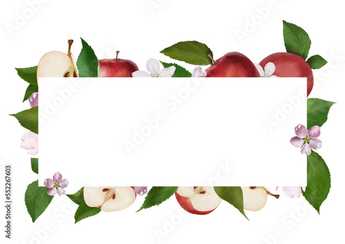 Horizontal hand drawn apples and sliced fruits, flowers and leaves frame. Botanical flower template. Spring or summer decoration floral bohemian design with transparent background