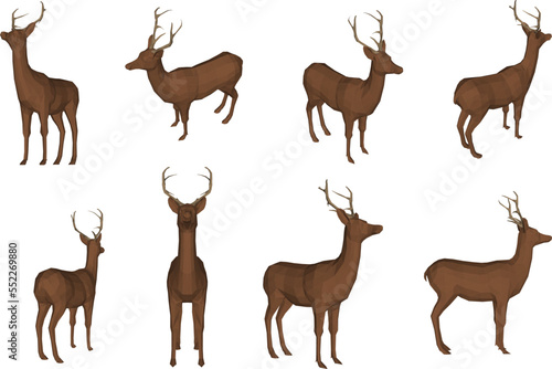 set of deer silhouettes © TSANI