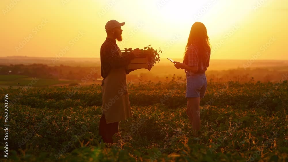 Side view of man, farmer selling sprouts to girl, holding tablet. Male with beard standing, holding wooden box, talking to girl, showing. Concept of growing organic plants. Side view of man, farmer selling sprouts to girl, holding tablet. Male with beard standing, holding wooden box, talking to girl, showing. Concept of growing organic plants.
