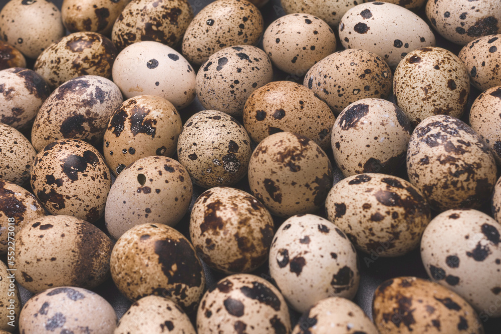 Group of quail eggs as a background. Raw eggs. Group of quail eggs as a background. Raw eggs.