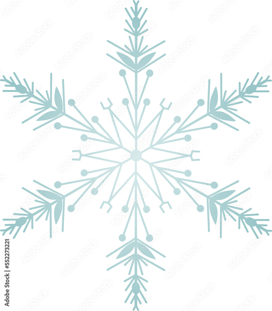 Snowflake Crystal in Winter Snowflake Crystal in Winter