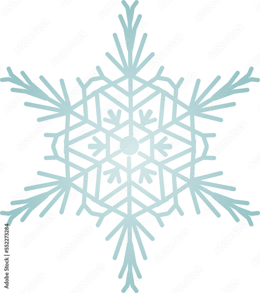 Snowflake Crystal in Winter Snowflake Crystal in Winter
