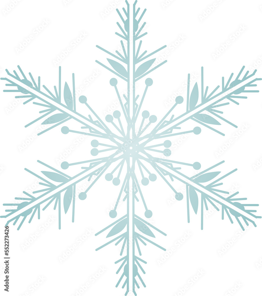 Snowflake Crystal in Winter Snowflake Crystal in Winter