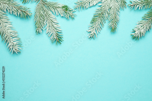 Wallpaper Mural Winter background. Snow-covered fir branch on blue background. Torontodigital.ca