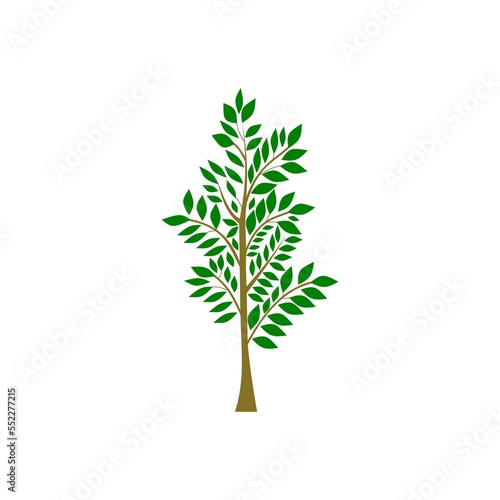 Tree icon Nature symbol graphic design.