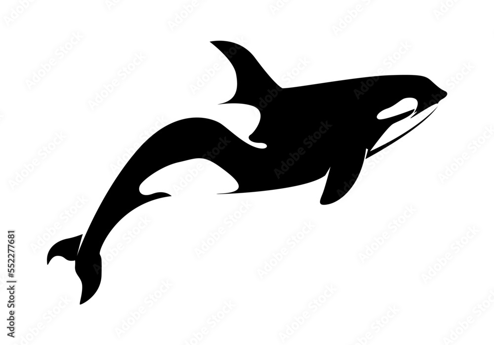 Fototapeta premium Vector illustration of a whales . dolphin silhouette isolated on white