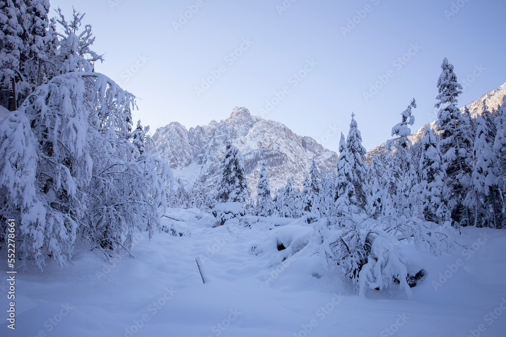 Kranjska Gora in Slovenia, winter landscape