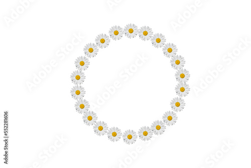 Daisies flowers frame in circle.