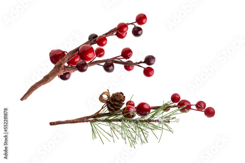 Fir branch, with branches of red berries and snow isolated. christmas tree.Christmas green spruce branch,   decoration red berries holly. green fir tree branch, isolated on transparent background png photo