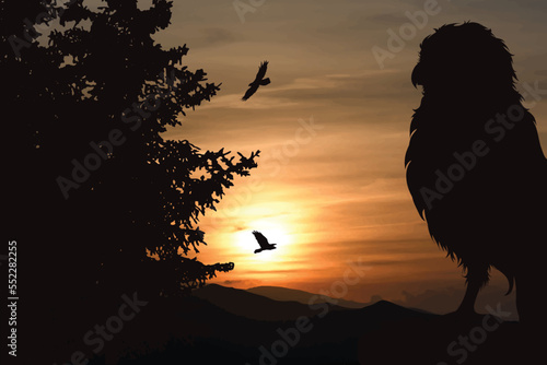Vector silhouette of forest with owl on sunset background.