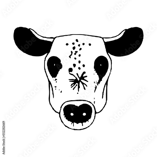 Image of a cow's muzzle. Illustration of a cow with spots on its muzzle. Sketch of a cow.