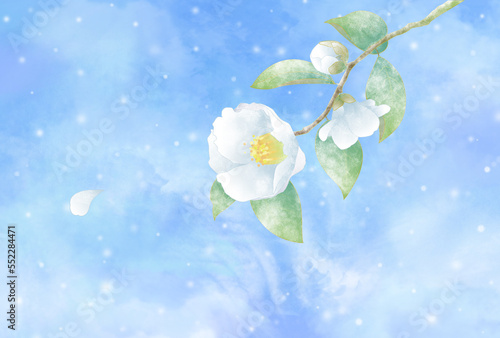 青い雪景色と白い椿