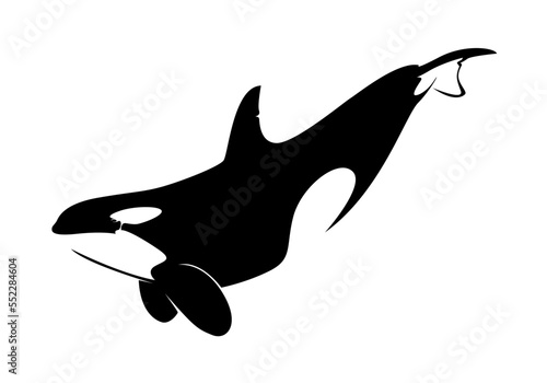 Vector illustration of a whales . dolphin silhouette isolated on white