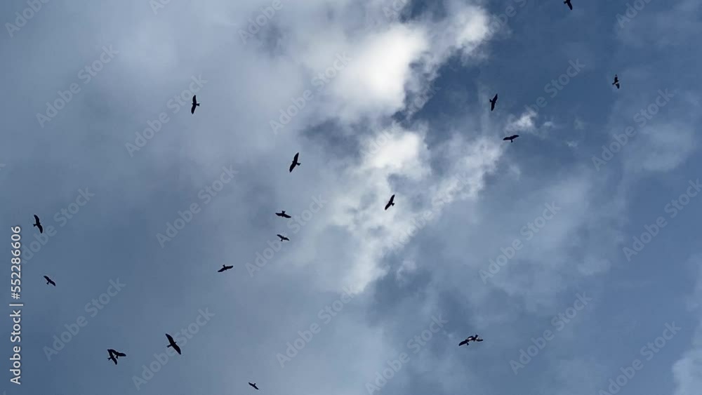 Birds fly from gray clouds to brighter blue sky, hopeful promise light up ahead Birds fly from gray clouds to brighter blue sky, hopeful promise light up ahead