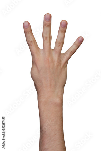Male hand gestures isolated 