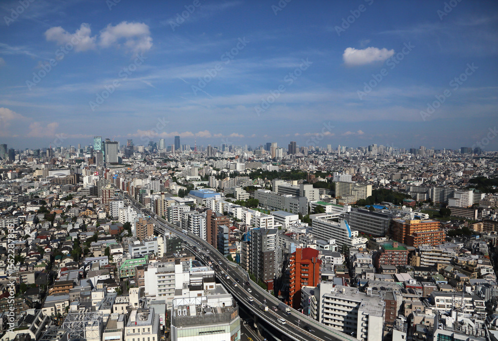 View of Tokyo from the top floor of a high-rise building on a clear day.