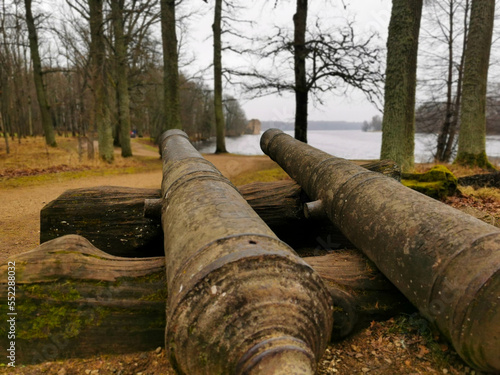 Old canon in city park
