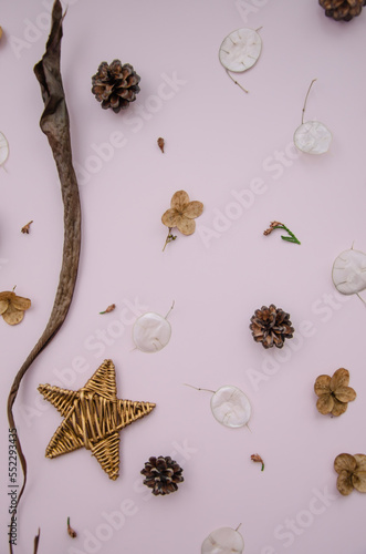 Flat lay rustic creative natural layout of winter plants parts on rose background. Fir cones, lunaria, dry flowers, thuja buds, wicker star. Botanic set of plants. Top view