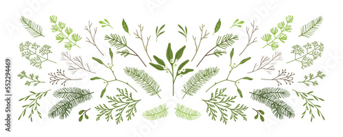Christmas winter plants, mistletoe, branches of pine, spruce, fir, leaves, twigs. Holiday hand drawn decoration. vector illustration isolated on white background