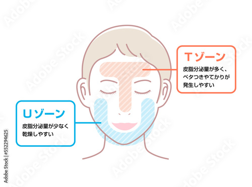 顔の皮脂分泌の多い部位と少ない部位イラスト (TゾーンとUゾーン)