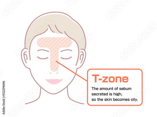 Vector illustration of T-zone of female face.