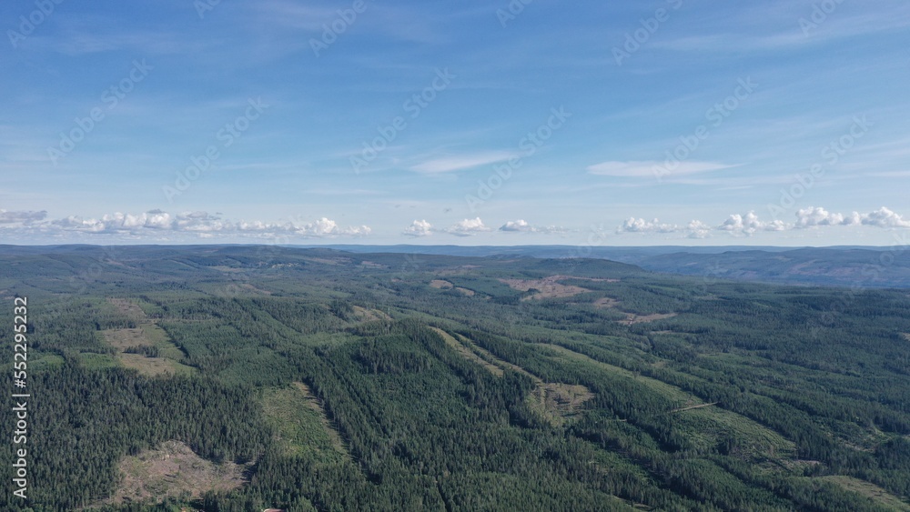 survol de routes et ponts dans la foret au centre de la Suède avec rivière, fleuve et lac survol de routes et ponts dans la foret au centre de la Suède avec rivière, fleuve et lac