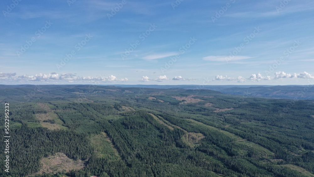 survol de routes et ponts dans la foret au centre de la Suède avec rivière, fleuve et lac