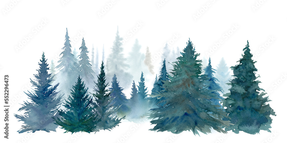 針葉樹林の水彩イラスト。森林の風景。