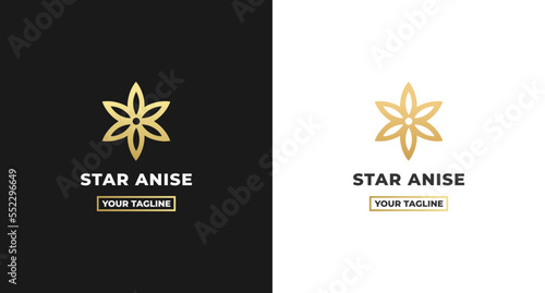 star anise logo or anise star logo isolated on white background. Star flower logo isolated. Perfect for anise flower logos on apps and websites. Or for flower content. star anise isolated.
