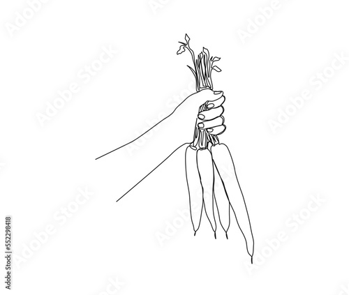 Continuous line drawing of hand holding carrot. Hand holds carrot simple line art can be use for agricultural, farming , organic food and vegan concept.