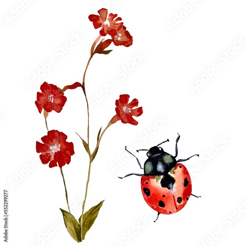 Flower red ladybug textured sketch a watercolor © Yana