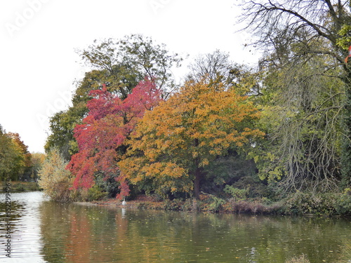 Paysage d'automne près d'un lac