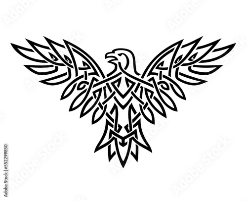 Celtic Eagle Ink Line Art Illustration