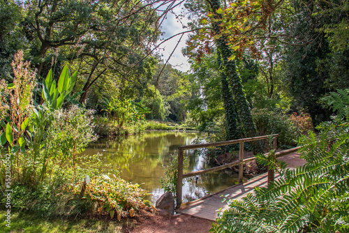 Pont en bois au bord de l’étang © guitou60
