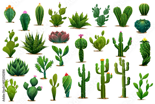 Cartoon prickly succulent cactus plants and desert flowers. Isolated vector green cacti plants of aloe, agave and opuntia with blossom flowers, prickly saguaro or peyote and tropical cactus photo