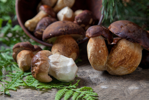 Imleria Badia or Boletus badius mushrooms commonly known as the bay bolete and Porcini mushroom commonly known as Boletus Edulis, clay bowl with mushrooms on vintage wooden background..