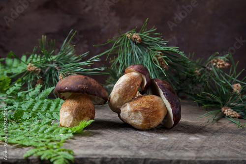 Several Imleria Badia or Boletus badius mushrooms commonly known as the bay bolete on vintage wooden background..