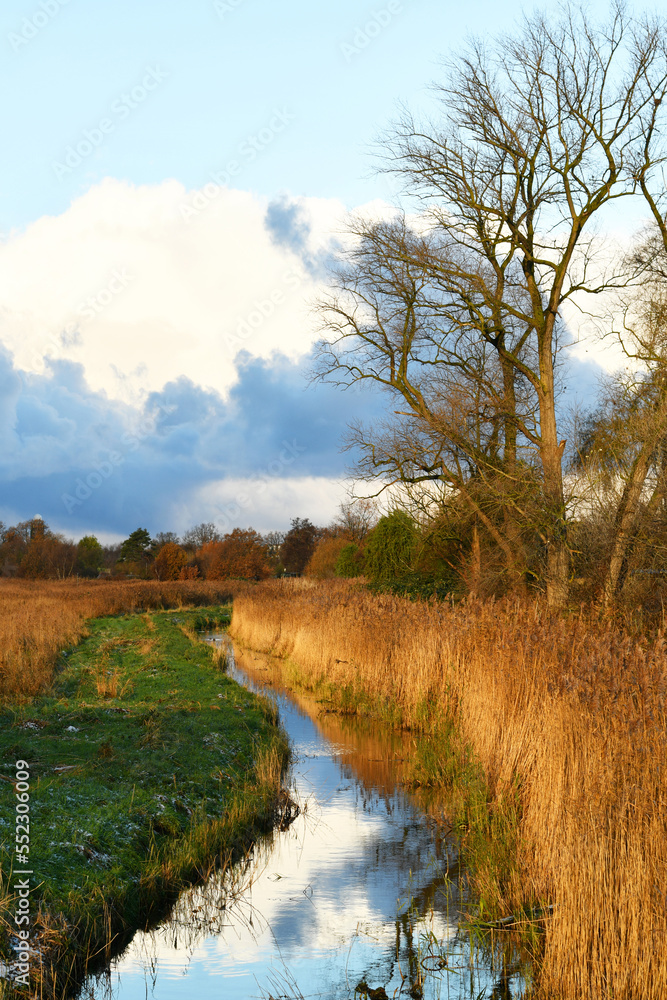 A winding stream on a winter morning. There's a bit of frost on the grass.