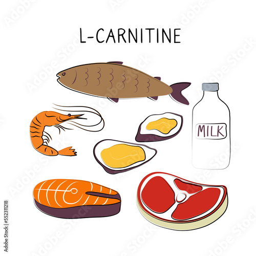 L-carnitine-containing food. Groups of healthy products containing vitamins and minerals. Set of fruits, vegetables, meats, fish and dairy