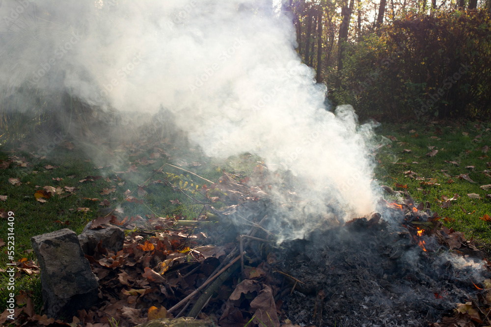 Fototapeta premium Ognisko. Palenie ogniska. 