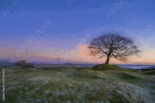 Lone tree at sunrise on Grindon Moor digital oil painting, Staffordshire, White Peak, Peak District National Park, UK.