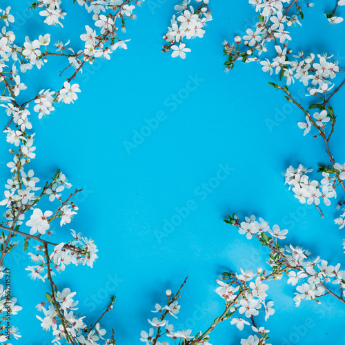 Blooming fruit flowers on blue background. Flat lay, top view. Spring time background.