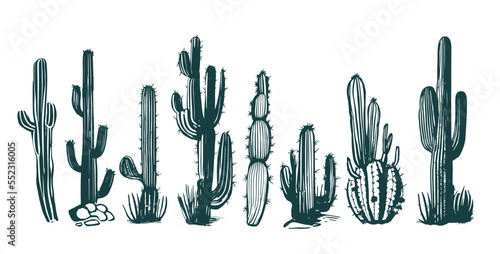 Cactus set hand drawn illustrations, vector