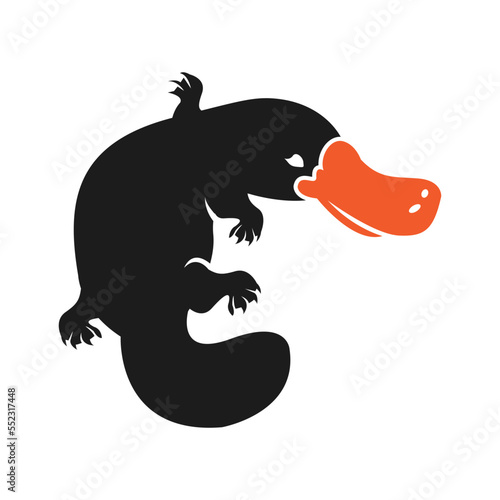 Platypus Illustration Simple