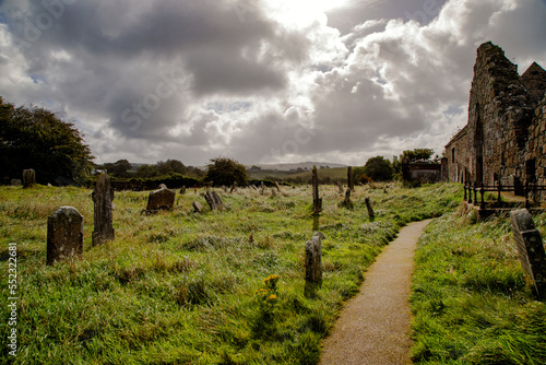 alter Friedhof bei Bonamargy Friary - Irland